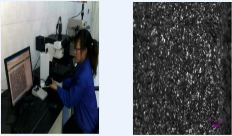 xinwen19-2